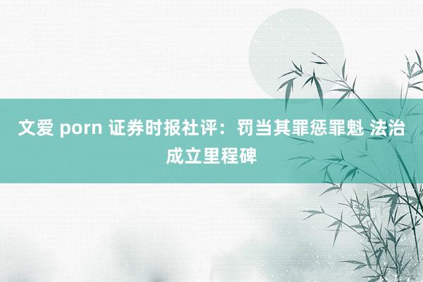 文爱 porn 证券时报社评：罚当其罪惩罪魁 法治成立里程碑