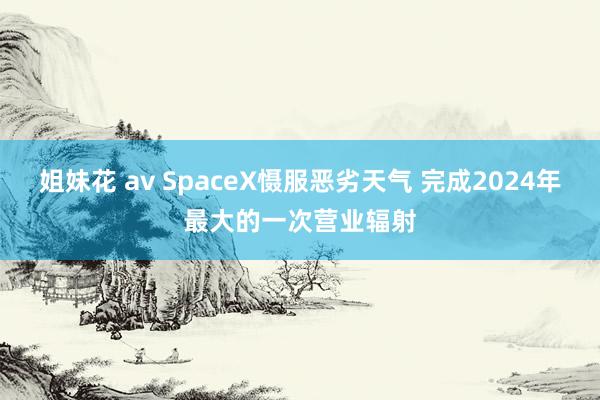 姐妹花 av SpaceX慑服恶劣天气 完成2024年最大的一次营业辐射