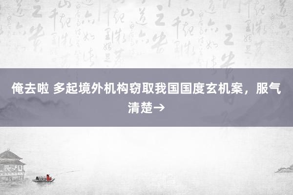 俺去啦 多起境外机构窃取我国国度玄机案，服气清楚→